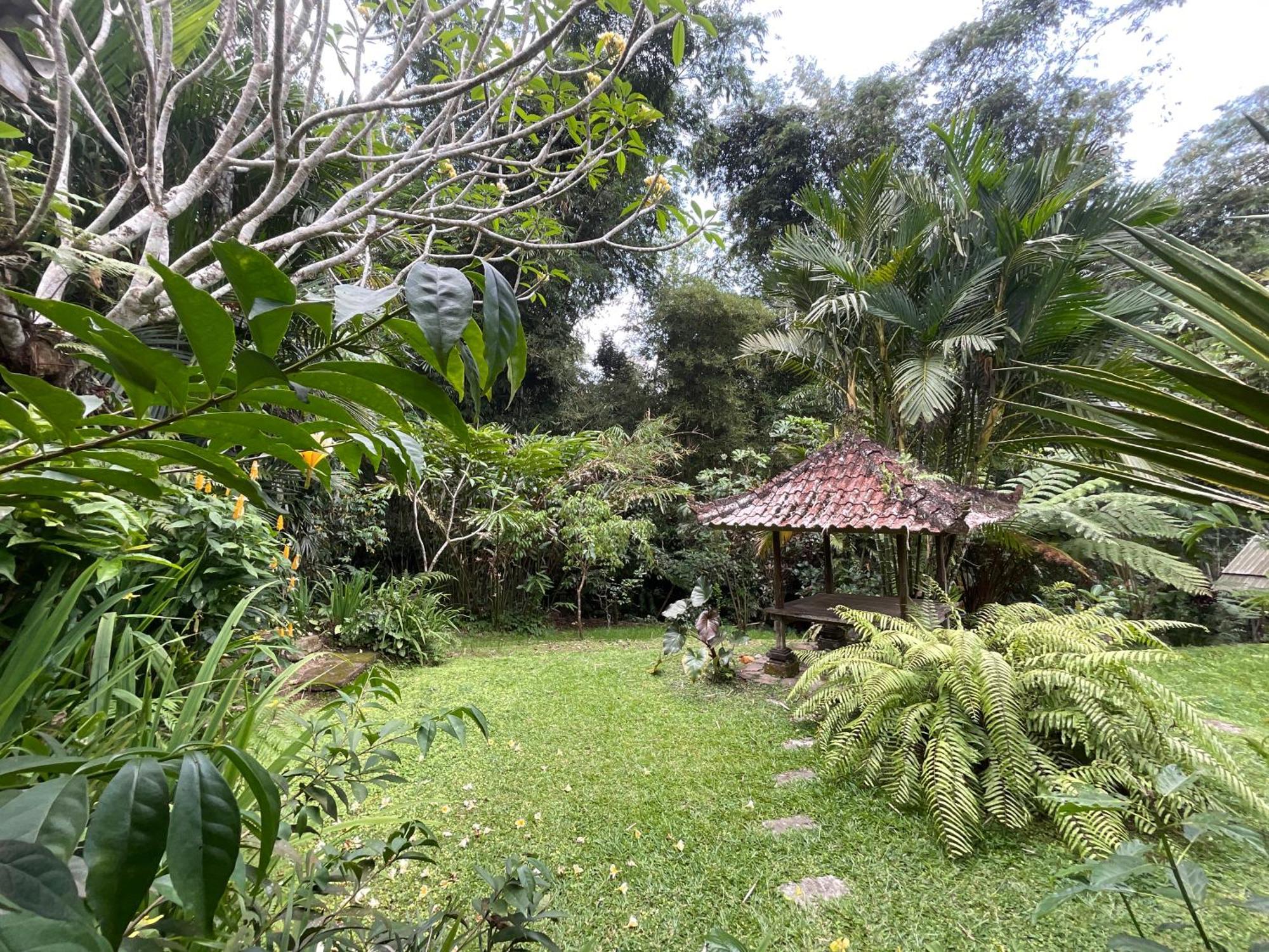 Carik Tangis Boutique Homestay Jatiluwih Exterior photo